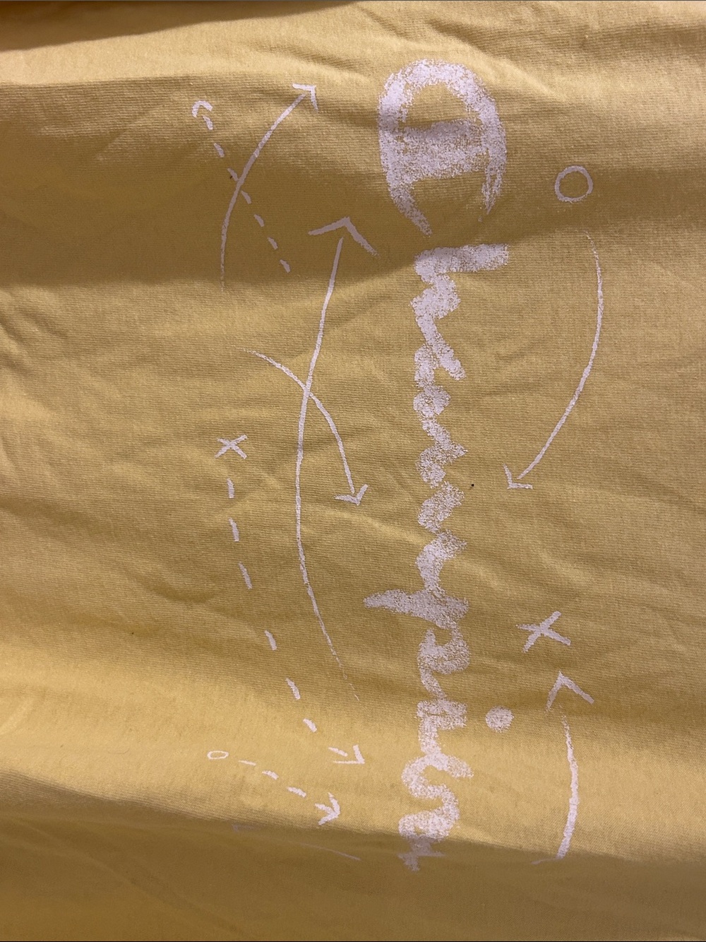 Champion Men’s Yellow Tee with White Script Logo - Picture 3 of 3